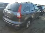 2010 Honda CR-V EXL