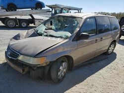 Salvage cars for sale at Spartanburg, SC auction: 2003 Honda Odyssey EX