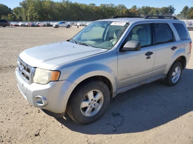 2009 Ford Escape XLT