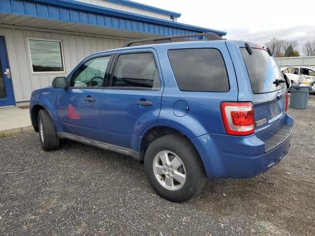 2009 Ford Escape XLT