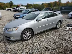 Salvage cars for sale at Candia, NH auction: 2010 Lexus ES 350