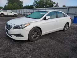 Salvage cars for sale at Finksburg, MD auction: 2017 Hyundai Sonata SE