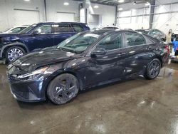 Salvage cars for sale at Ham Lake, MN auction: 2023 Hyundai Elantra SEL