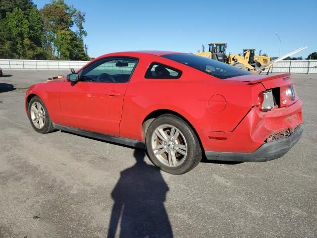 2010 Ford Mustang