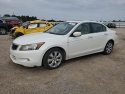 Honda Accord salvage cars for sale: 2010 Honda Accord EXL