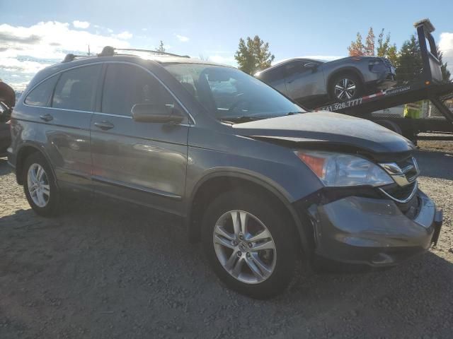 2010 Honda CR-V EXL