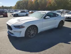 Salvage cars for sale at Glassboro, NJ auction: 2019 Ford Mustang