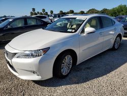 2014 Lexus ES 350 en venta en Riverview, FL