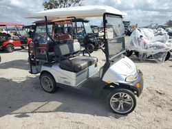 Salvage trucks for sale at Riverview, FL auction: 2013 Aspt Golf Cart