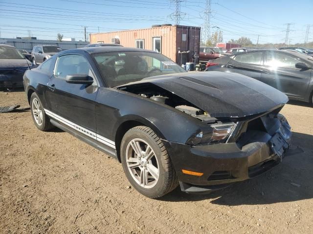 2010 Ford Mustang