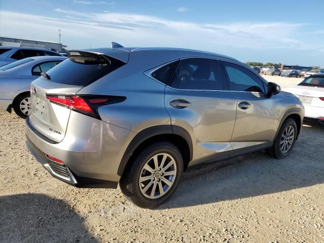 2019 Lexus NX 300H