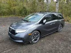 Salvage cars for sale at Cookstown, ON auction: 2023 Honda Odyssey Touring