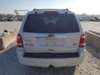 2010 Ford Escape Limited