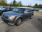 2010 Ford Flex Limited