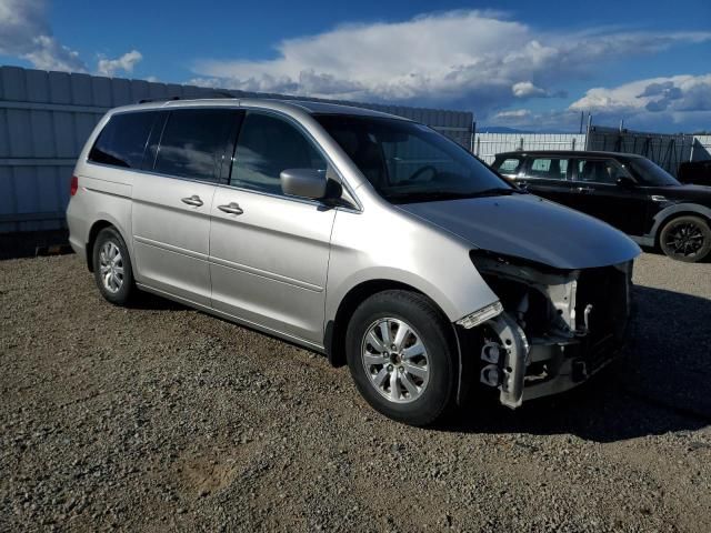 2008 Honda Odyssey EXL