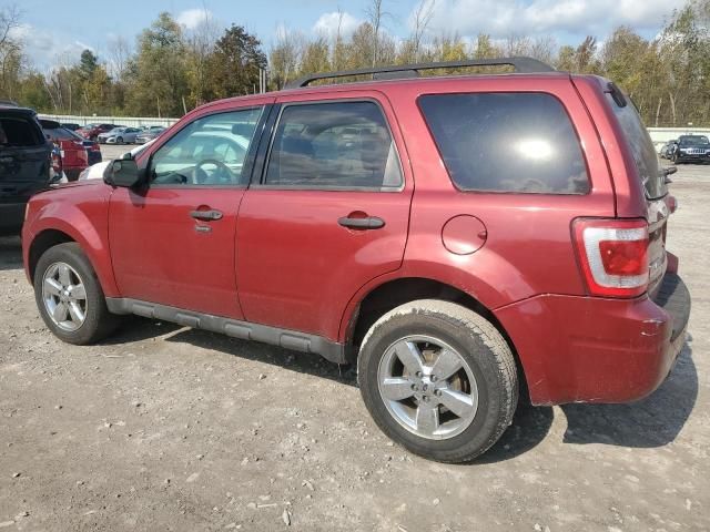 2012 Ford Escape XLT