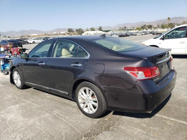 2010 Lexus ES 350