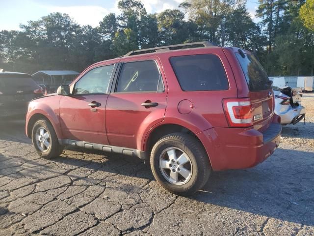 2012 Ford Escape XLT