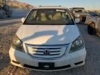 2008 Honda Odyssey EXL