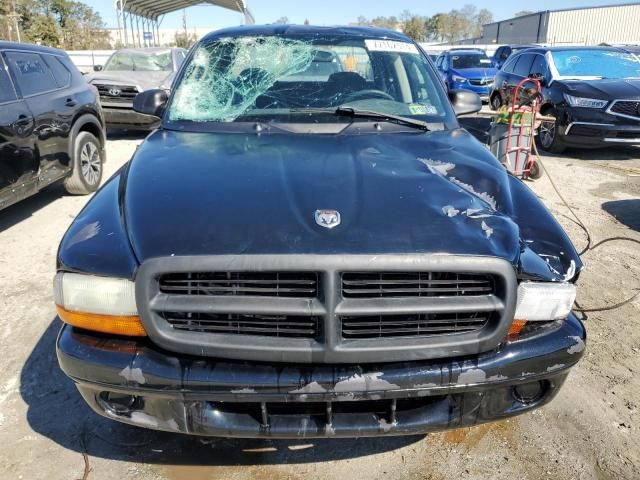 2004 Dodge Dakota Quad SLT