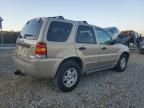 2007 Ford Escape XLT