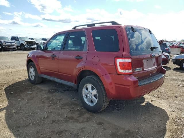 2009 Ford Escape XLT