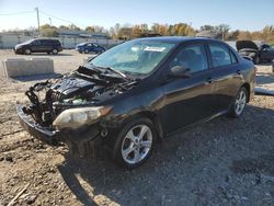 Salvage cars for sale at Louisville, KY auction: 2011 Toyota Corolla Base