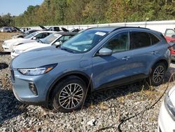 Flood-damaged cars for sale at auction: 2023 Ford Escape