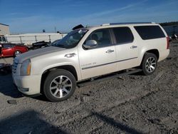 Salvage cars for sale at Earlington, KY auction: 2010 Cadillac Escalade ESV Premium