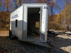 Other salvage cars for sale: 2015 Other Trailer