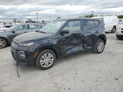 Salvage cars for sale at auction: 2021 KIA Soul LX