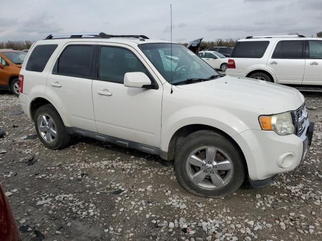 2010 Ford Escape Limited