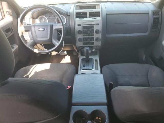 2008 Ford Escape XLT