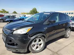 Salvage cars for sale at Littleton, CO auction: 2014 Ford Escape SE