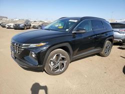 Salvage cars for sale at Brighton, CO auction: 2024 Hyundai Tucson Limited