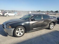 Dodge salvage cars for sale: 2013 Dodge Charger SE