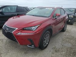 Salvage cars for sale at Arcadia, FL auction: 2019 Lexus NX 300 Base