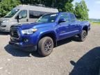 2023 Toyota Tacoma Access Cab