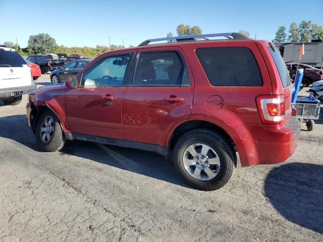 2011 Ford Escape Limited