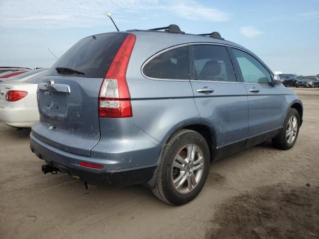 2010 Honda CR-V EXL