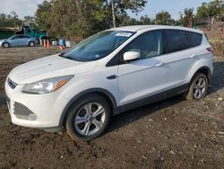 Ford salvage cars for sale: 2014 Ford Escape SE