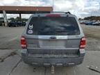 2008 Ford Escape Limited