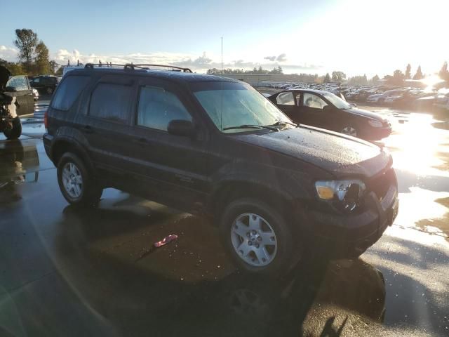 2007 Ford Escape Limited