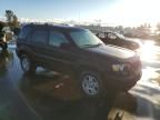 2007 Ford Escape Limited