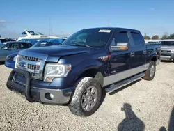 Ford salvage cars for sale: 2013 Ford F150 Supercrew