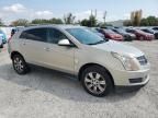 2010 Cadillac SRX Luxury Collection