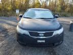 2013 KIA Forte EX