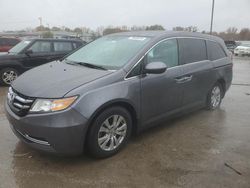 Salvage cars for sale at Louisville, KY auction: 2016 Honda Odyssey EXL