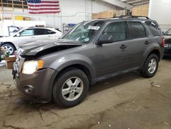 Salvage cars for sale at Ham Lake, MN auction: 2012 Ford Escape XLT