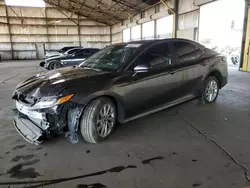 Salvage cars for sale at Phoenix, AZ auction: 2024 Toyota Camry LE